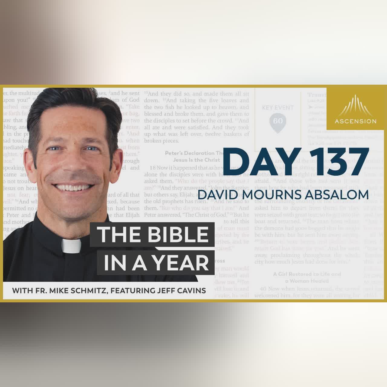 Day 141: The Life of David — The Bible in a Year (with Fr. Mike Schmitz)