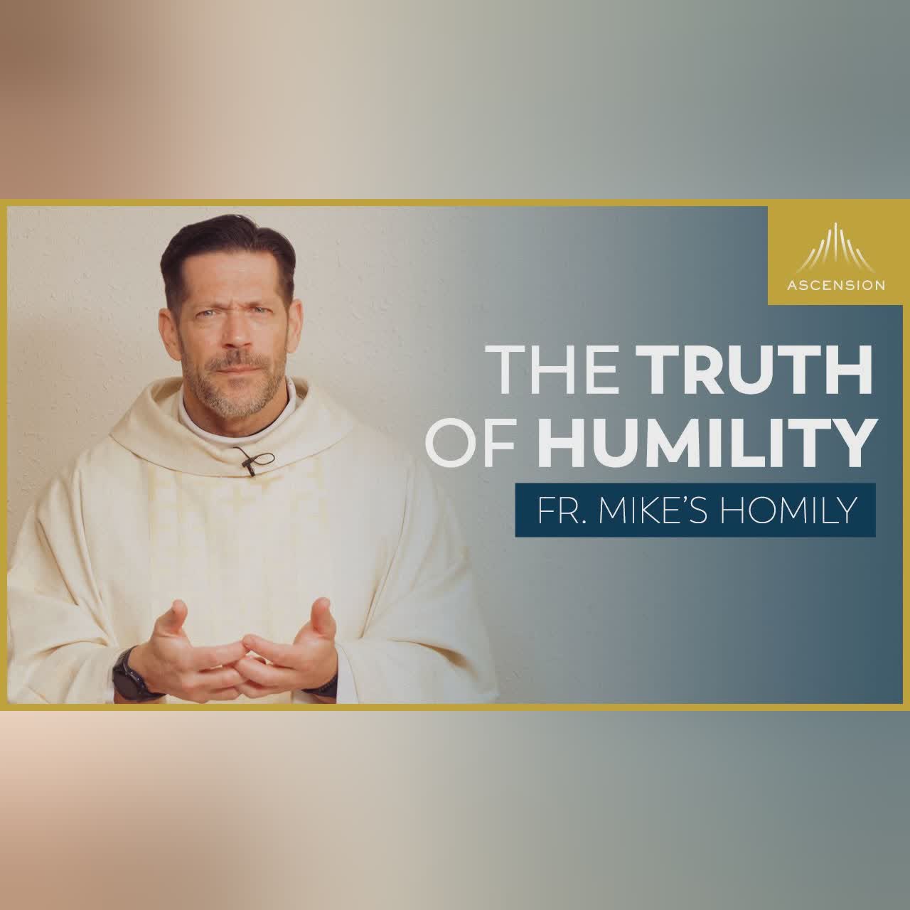 "Upon this Rock" | Solemnity of Saints Peter and Paul (Fr. Mike's Homily) #sundayhomily