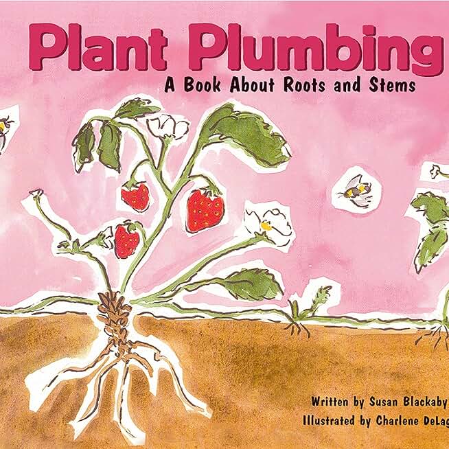 Plant Plumbing: A Book About Roots and Stems