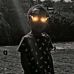 author avatar