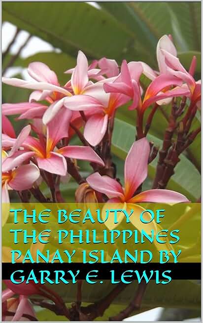 The Beauty of the Philippines Panay Island by Garry E. Lewis