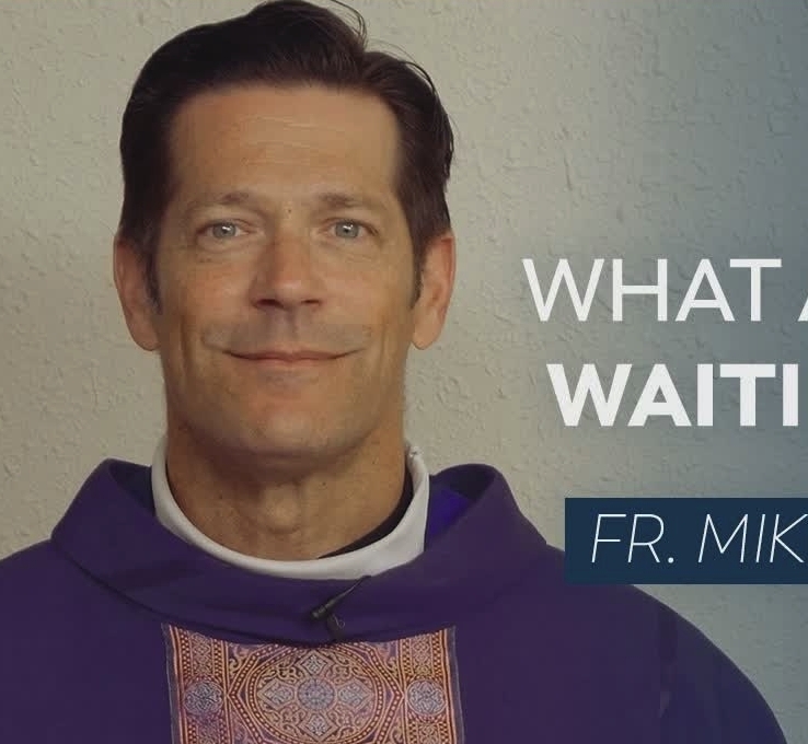 Father Mike Schmitz's Homily for the Eighth Sunday in Ordinary Time