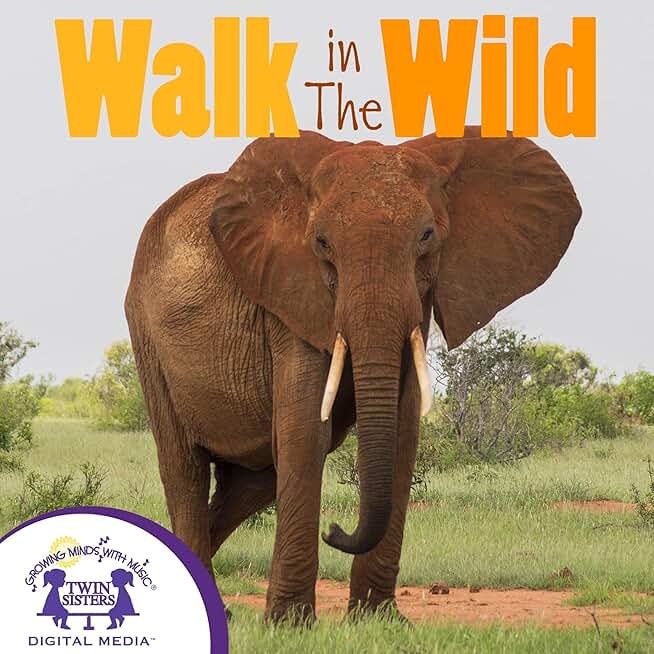 Walk in the Wild: Let's Learn About Animals, Book 2