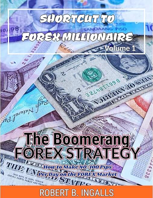 The Boomerang Forex Strategy: How to Make 40-100 Pips Per Day on the Forex Market