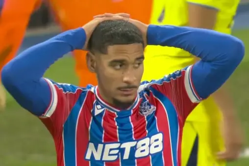 Crystal Palace VS Tottenham Hotspur Highlight