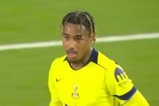 Crystal Palace VS Tottenham Hotspur Highlight