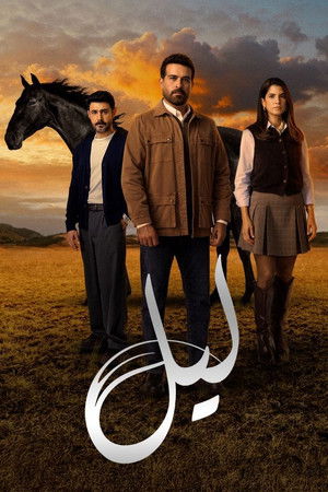 Poster Layl
