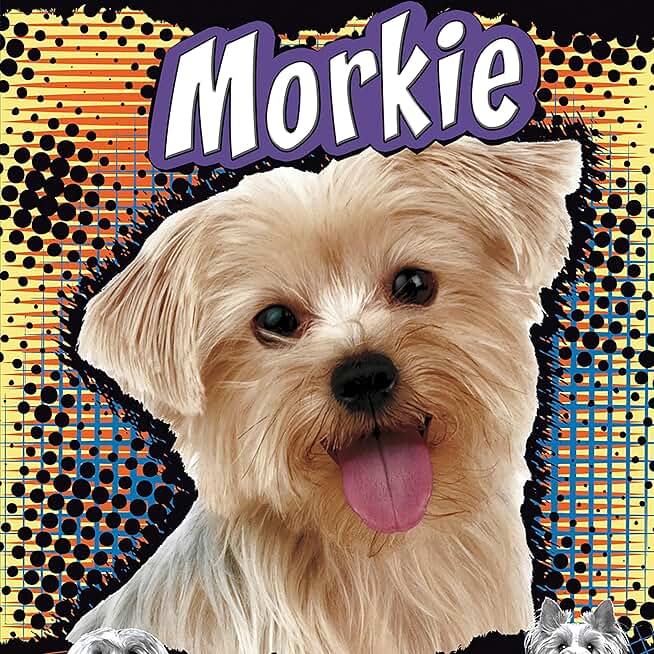 Morkie: A Cross Between a Maltese and a Yorkshire Terrier