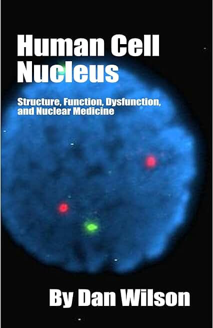 Human Cell Nucleus: Structure, Function, Dysfunction, and Nuclear Medicine
