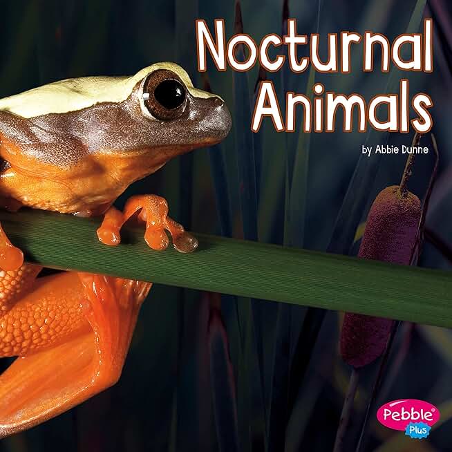 Nocturnal Animals