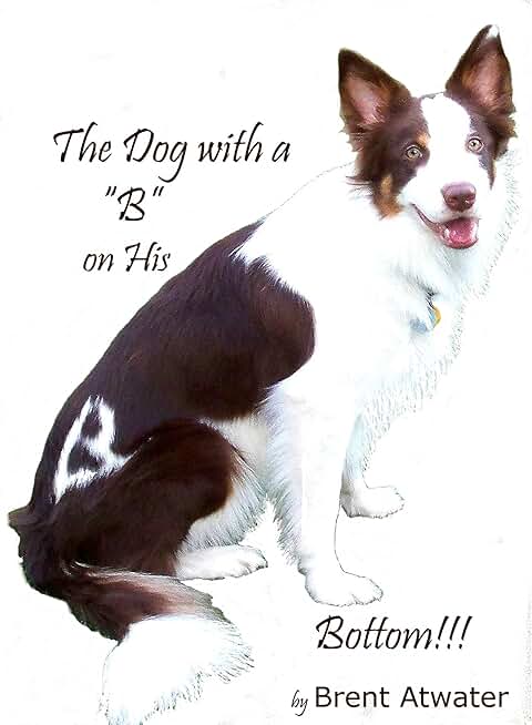 The Dog with a "B" on His Bottom!: Prayers are answered
