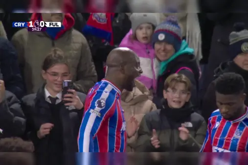Crystal Palace VS Fulham Highlight