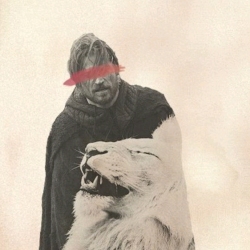 author avatar