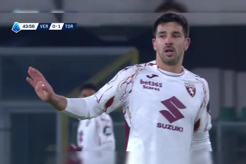 Hellas Verona VS Torino Highlight