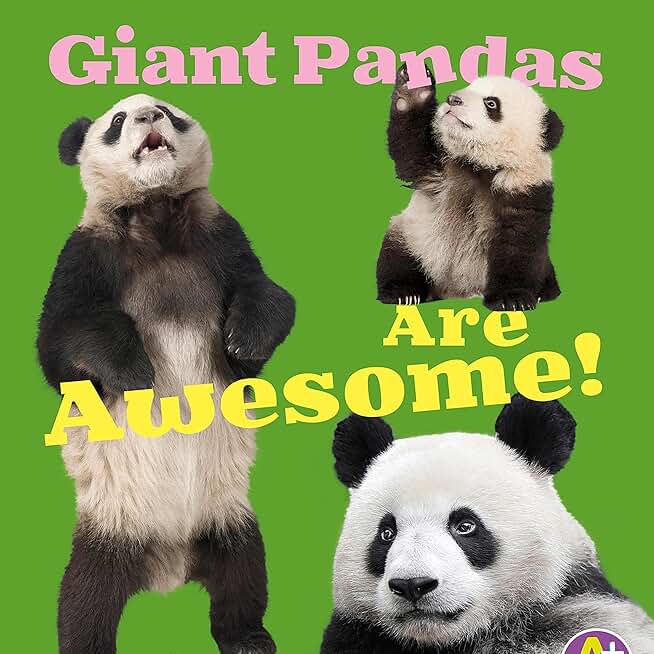 Giant Pandas Are Awesome!