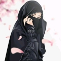 Sabiya Seikh