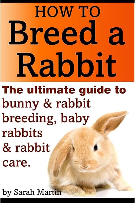 How to Breed a Rabbit - The Ultimate Guide to Bunny and Rabbit Breeding, Baby Rabbits and Rabbit Care