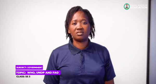 3 UN: International organization