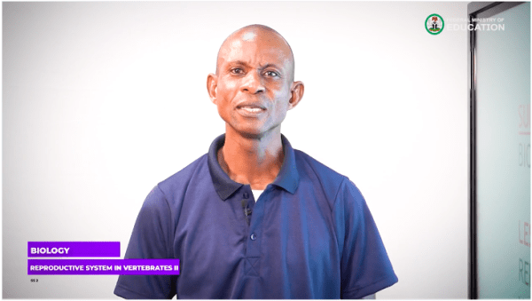 6 Reproductive Systems in Vertebrates(ii
)