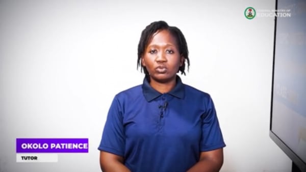 4 The Organs of United Nations:...