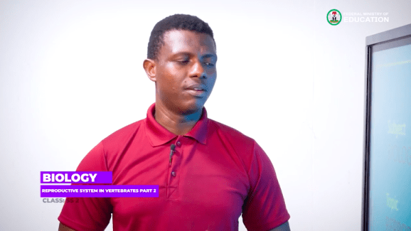 7 Reproductive system in Vertebrates 2