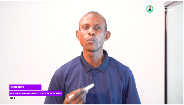 4 Pollination in Plants