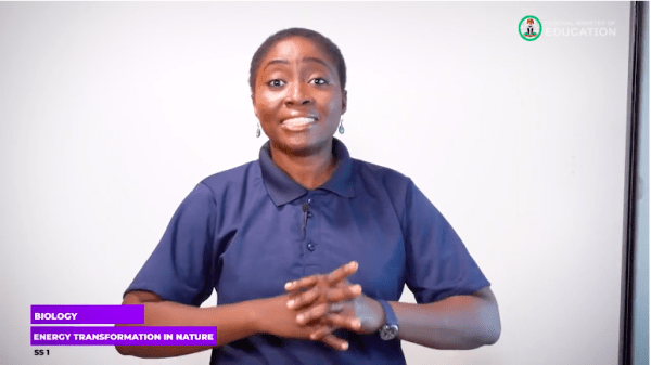 16 Energy Transformation in Nature