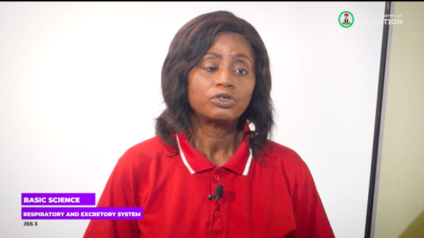 1 Respiratory And Excretory System