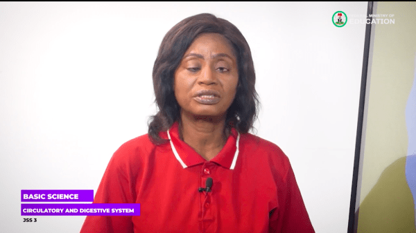 2 Circulatory And Digestive System