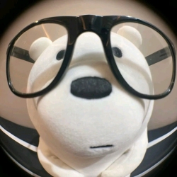 author avatar