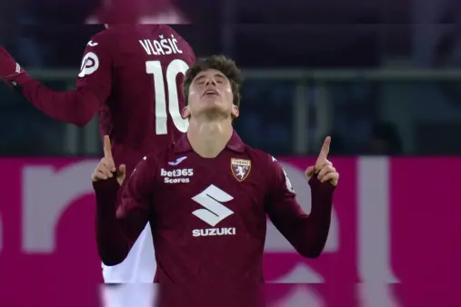 Torino VS Udinese Highlight