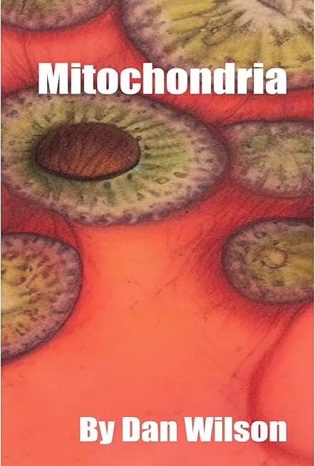 Mitochondria: Structure, Dysfunction, and Research