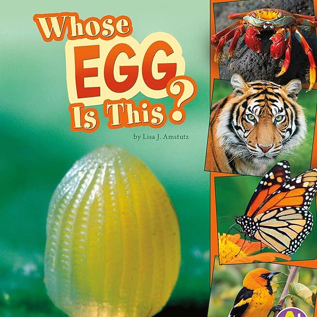 Whose Egg Is This?: Nature Starts