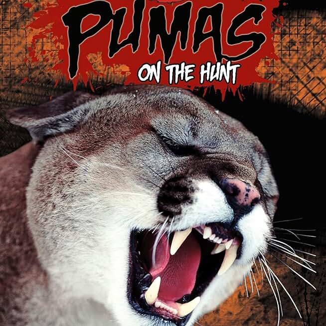 Pumas: On the Hunt (Killer Animals)