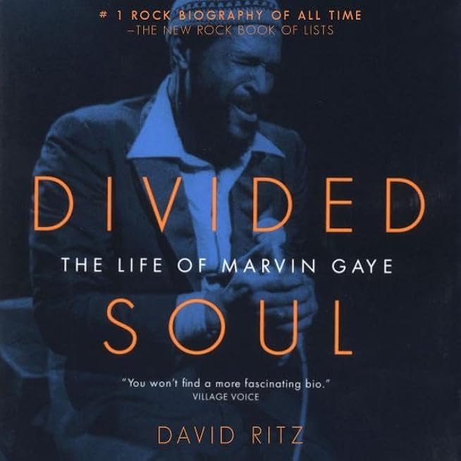 Divided Soul: The Life of Marvin Gaye