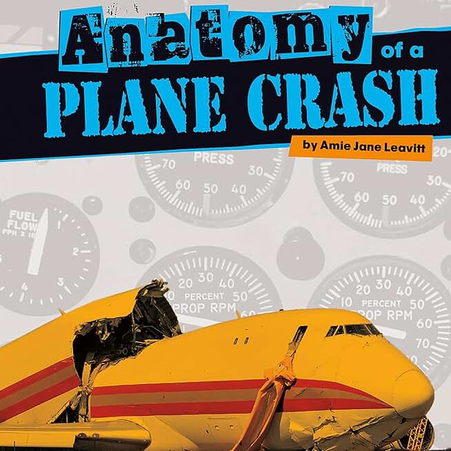 Anatomy of a Plane Crash