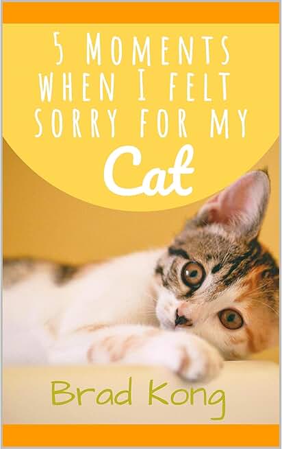 5 Moments When I Felt Sorry For My Cat: Why does life have to be so painful for animals?