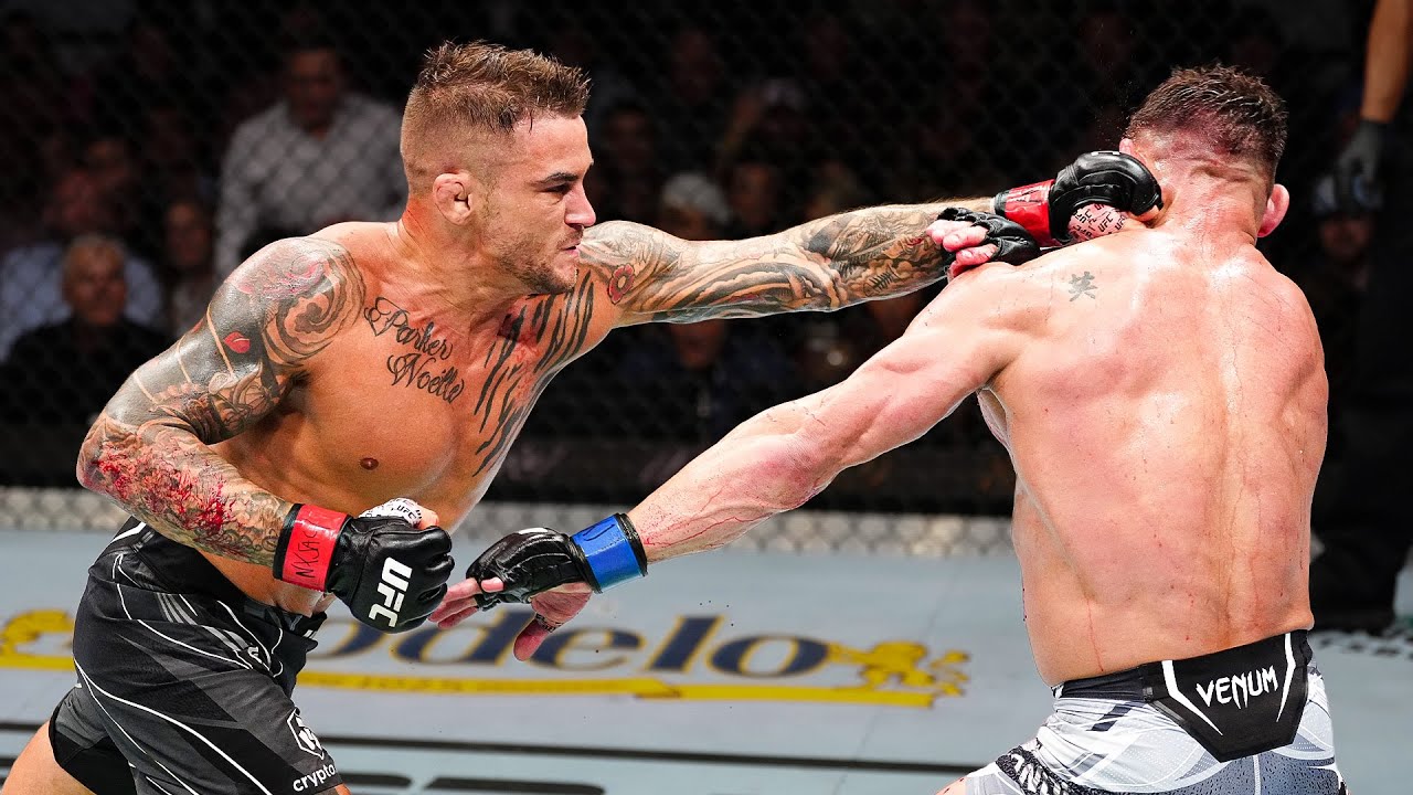 UFC Fights That You MUST SEE! 👊