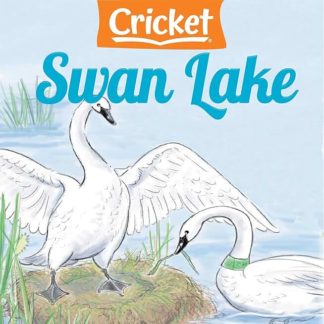 Swan Lake