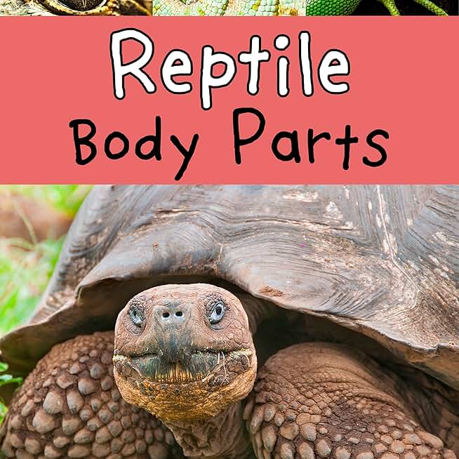 Reptile Body Parts