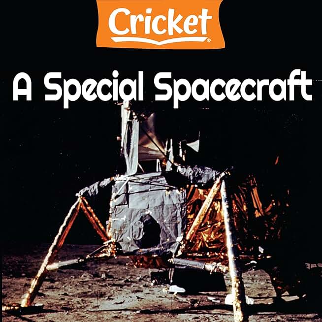 A Special Spacecraft