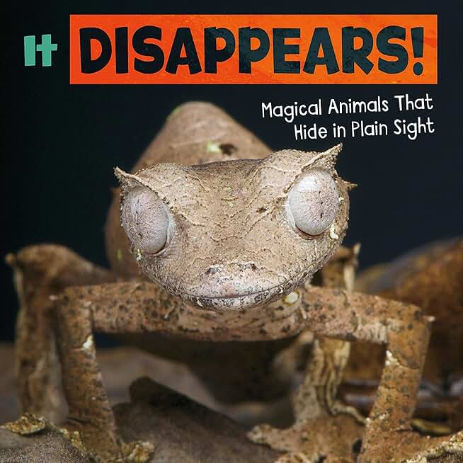 It Disappears!: Magical Animals That Hide in Plain Sight