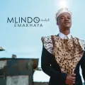 Cold Summer (feat. Vyno Miller)