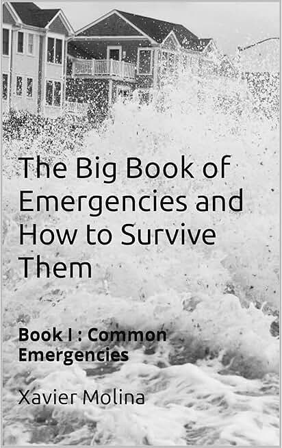 The Big Book of Emergencies and How to Survive Them: Book I : Common Emergencies