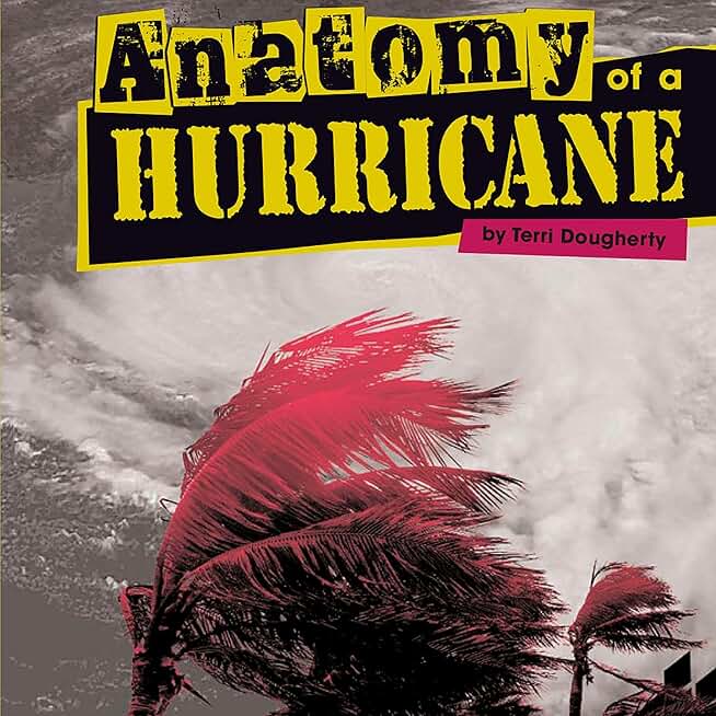 Anatomy of a Hurricane: Disasters