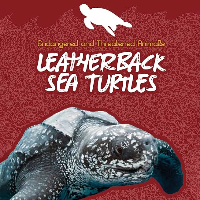 Leatherback Sea Turtles