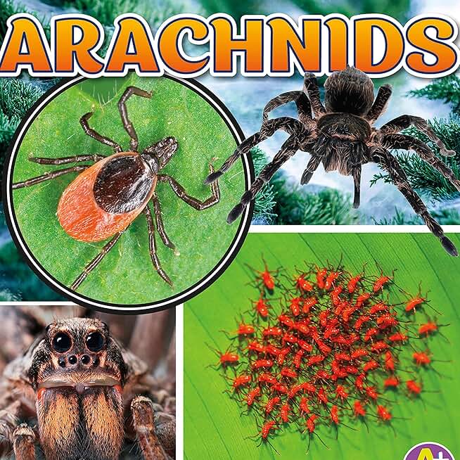 Arachnids