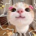 mixxy