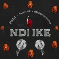 NDI IKE