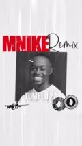 Mnike (Remix) (feat. DJ Maphorisa, Shallipopi, Lojay, Ceeka RSA, Tyrone Dee & Nandipha808)